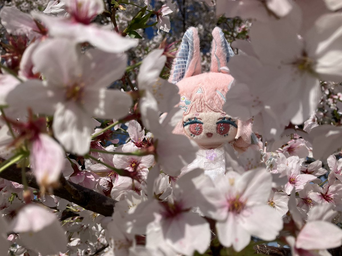 いつき tweet media