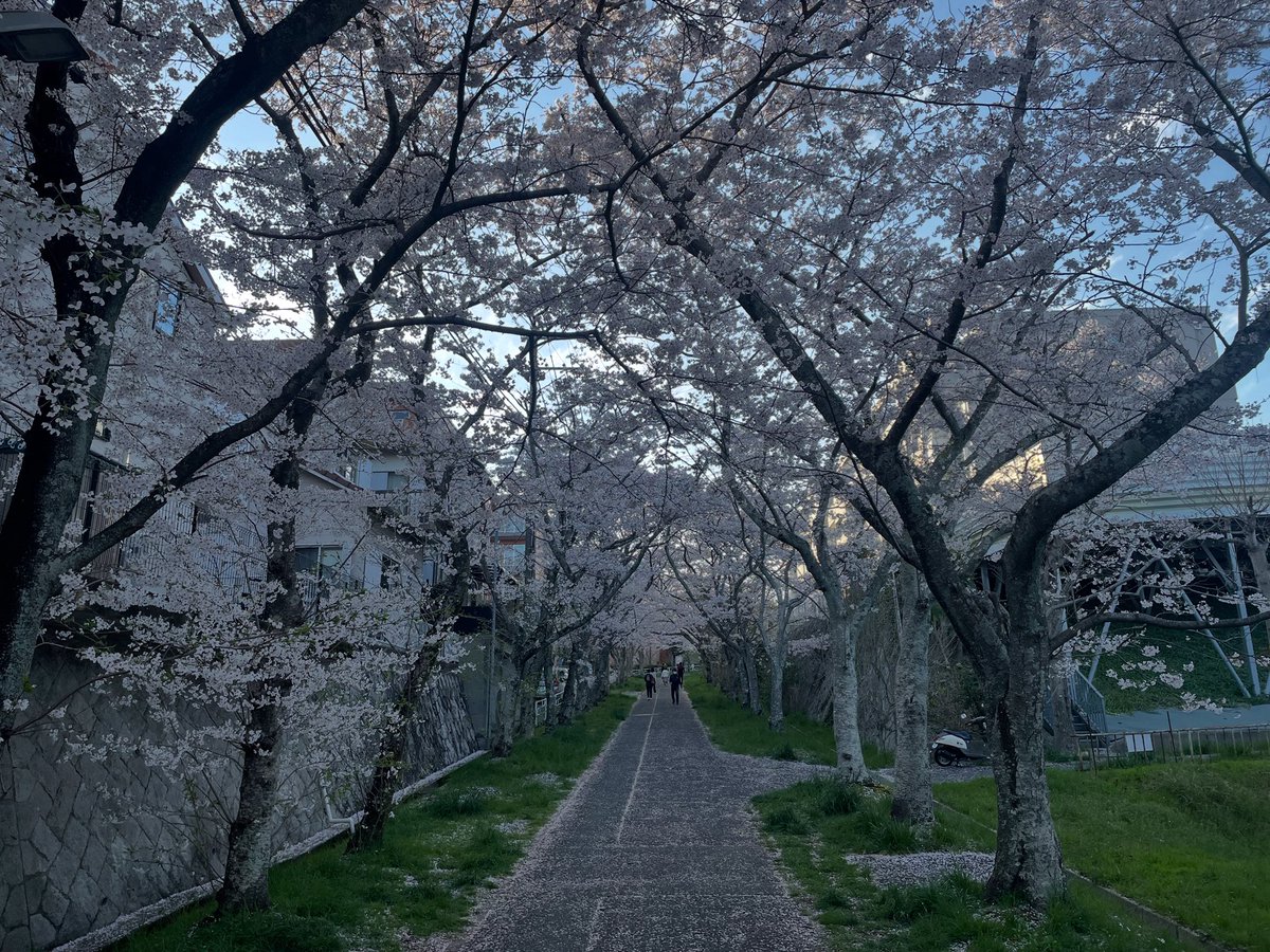 神戸の街角 tweet media