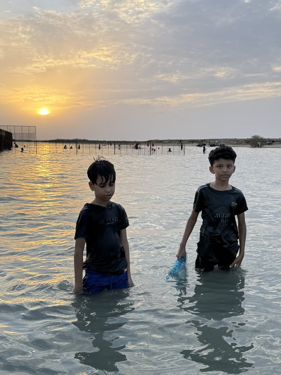 عمر ياسين tweet media