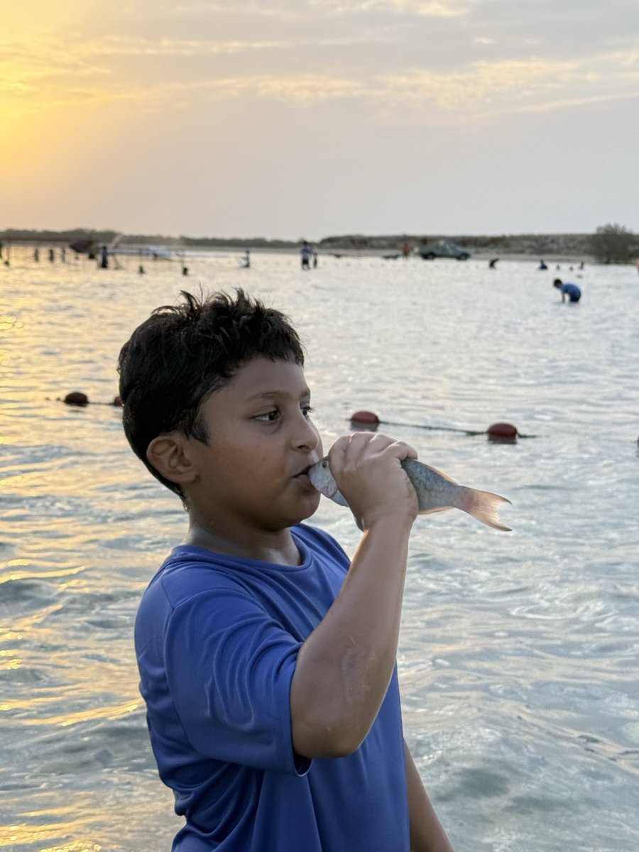 عمر ياسين tweet media