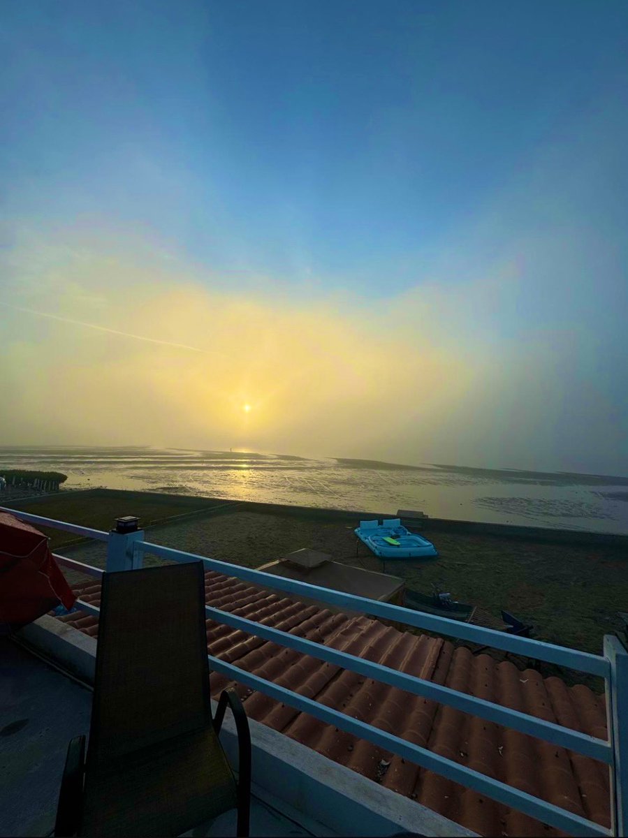 La Poeta. tweet media