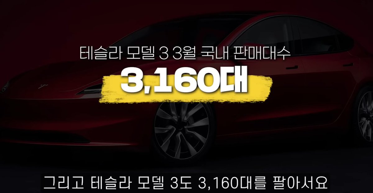 teslachoi테초이 tweet media