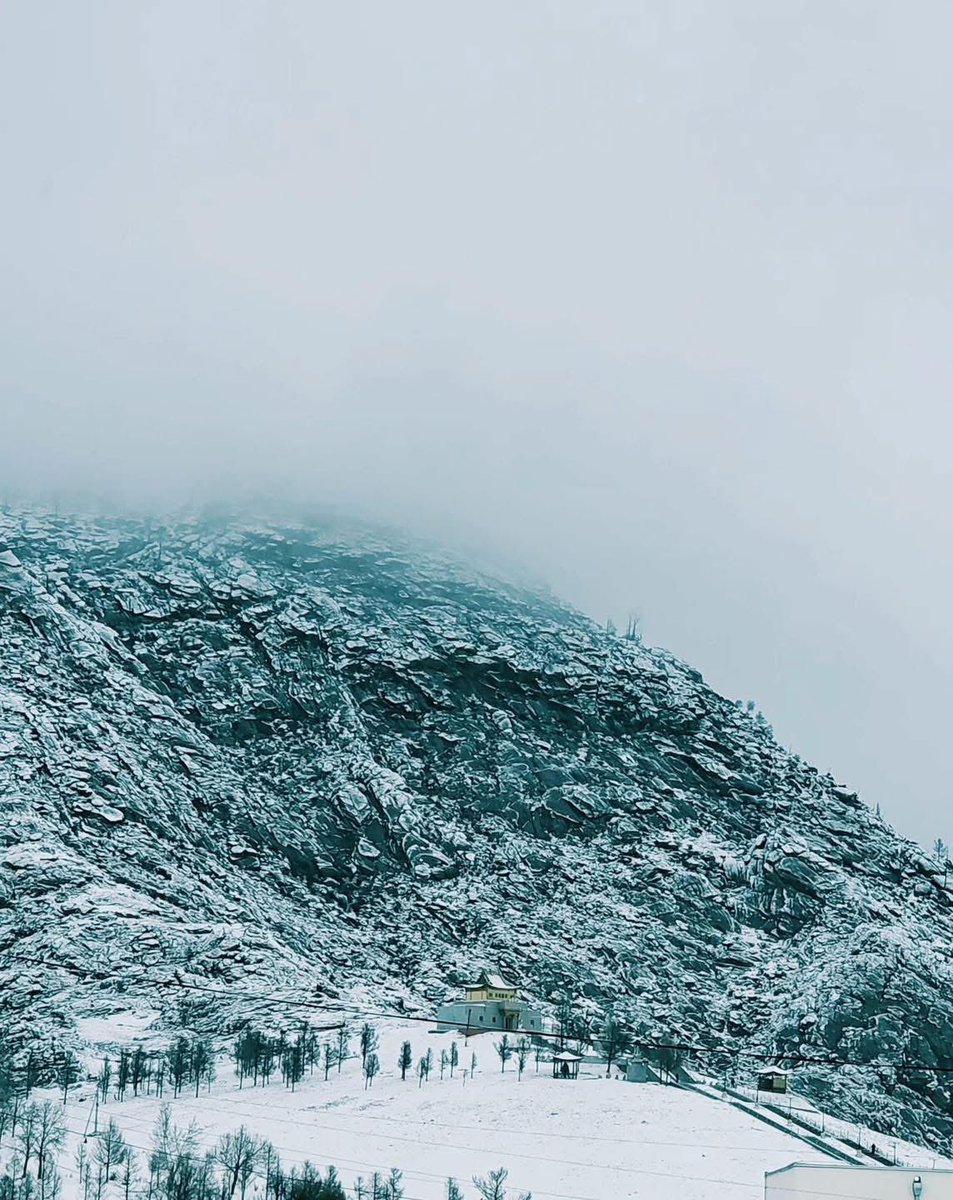 M. Batzaya tweet media