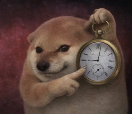 sshmak (shm/acc) tweet media