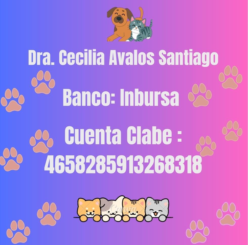 Ari Arciniega tweet media