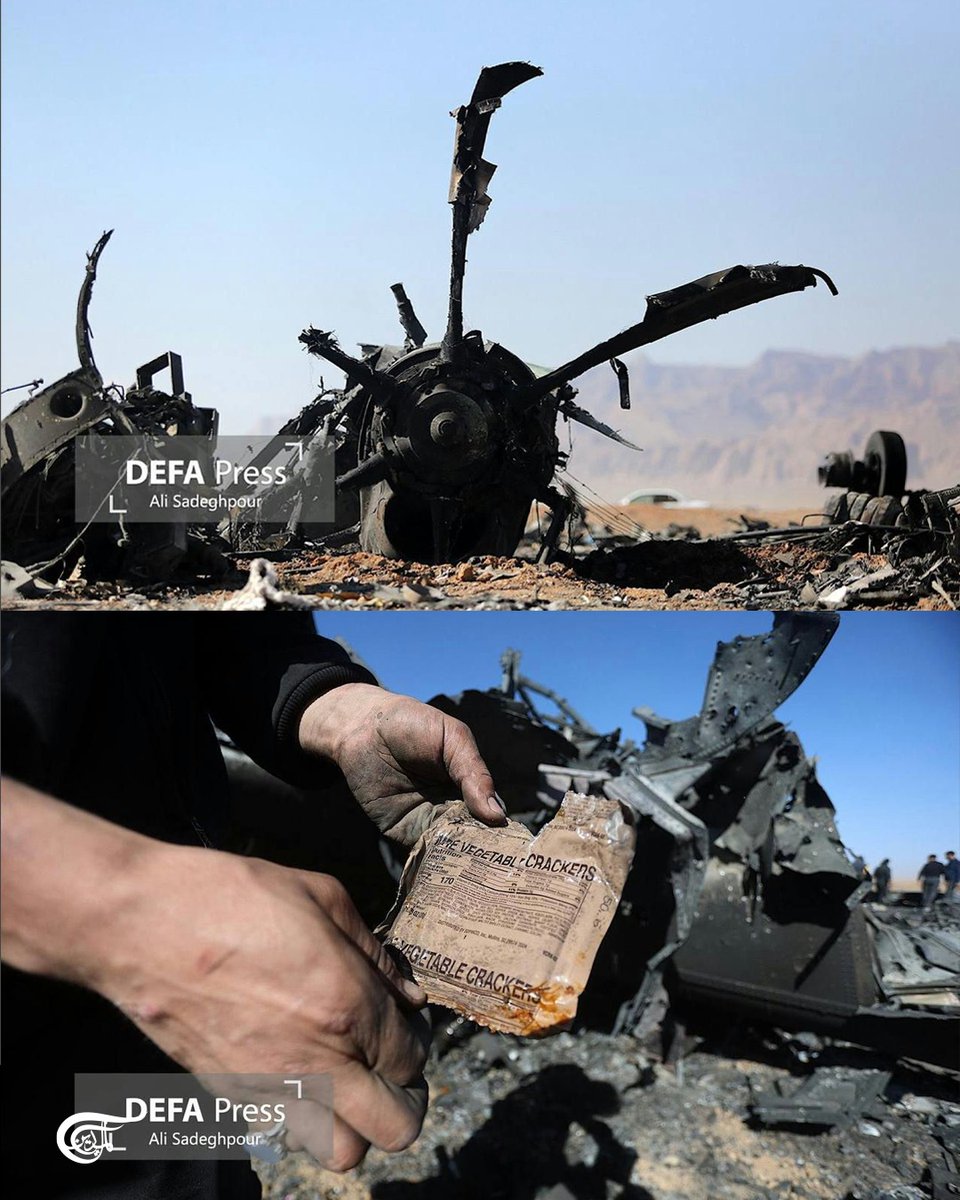 ferizandra tweet media