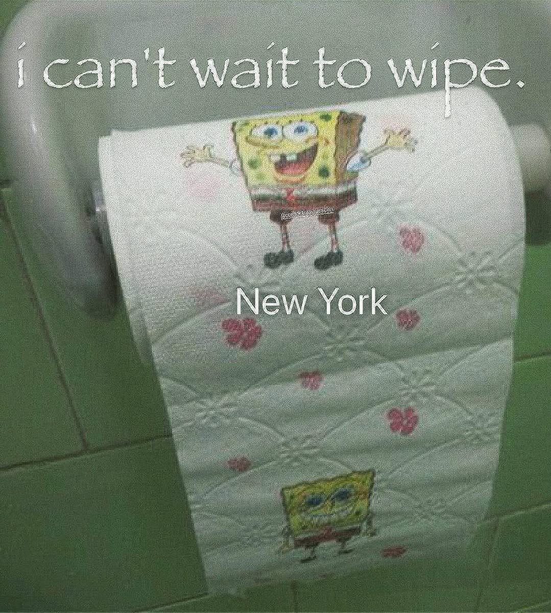 Sponge ! tweet media