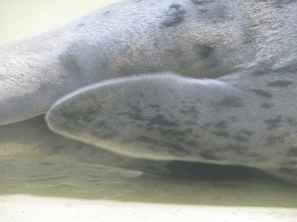 週イチ水族館 tweet media