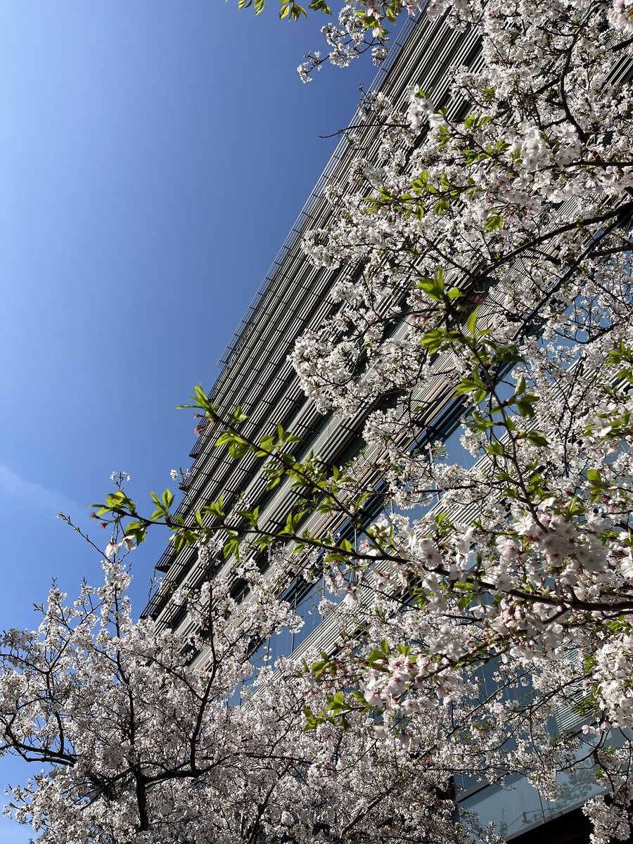 としょぞう tweet media