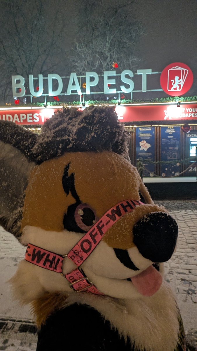 trash🔜FWA🔜Futrołajki🔜MFF tweet media