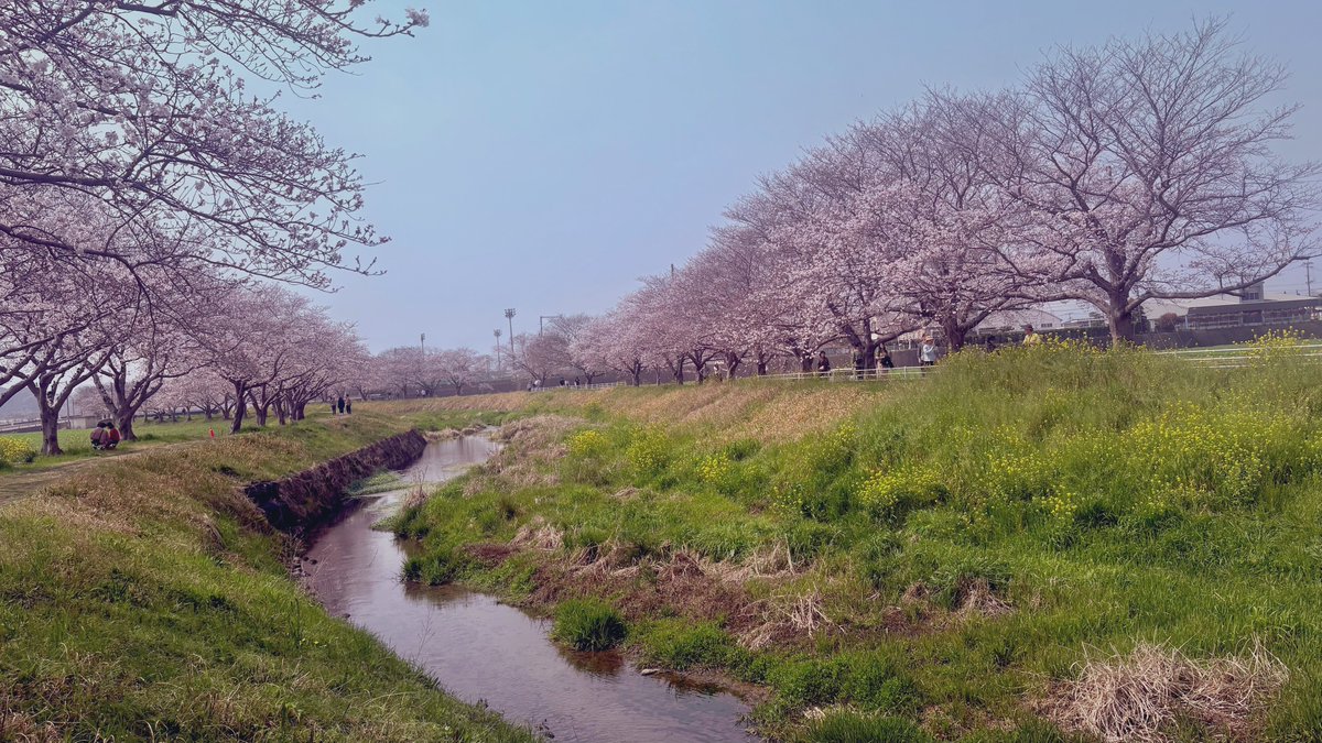 いっちー tweet media