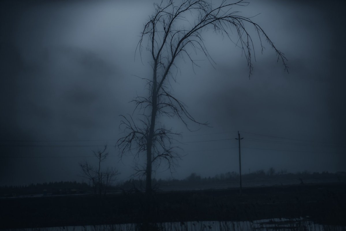 Loki Highlock tweet media