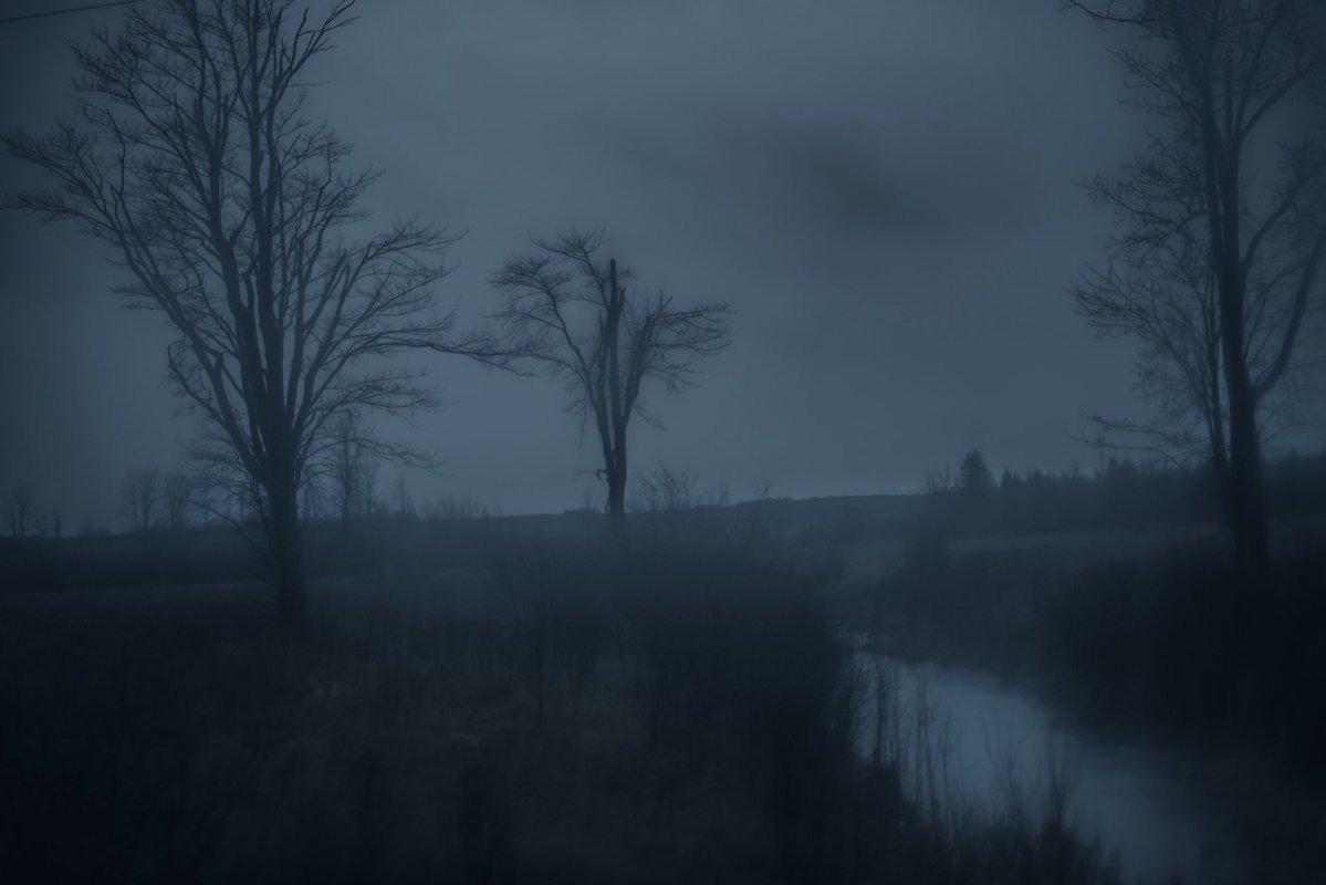 Loki Highlock tweet media