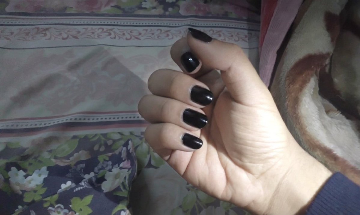 itz Evan95 tweet media