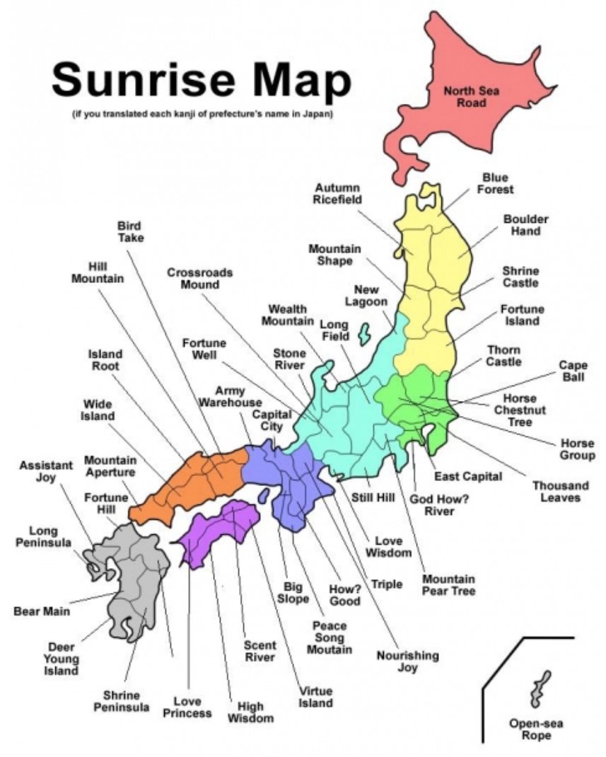 おりぴ@アメコカ🐶かいぬし tweet media