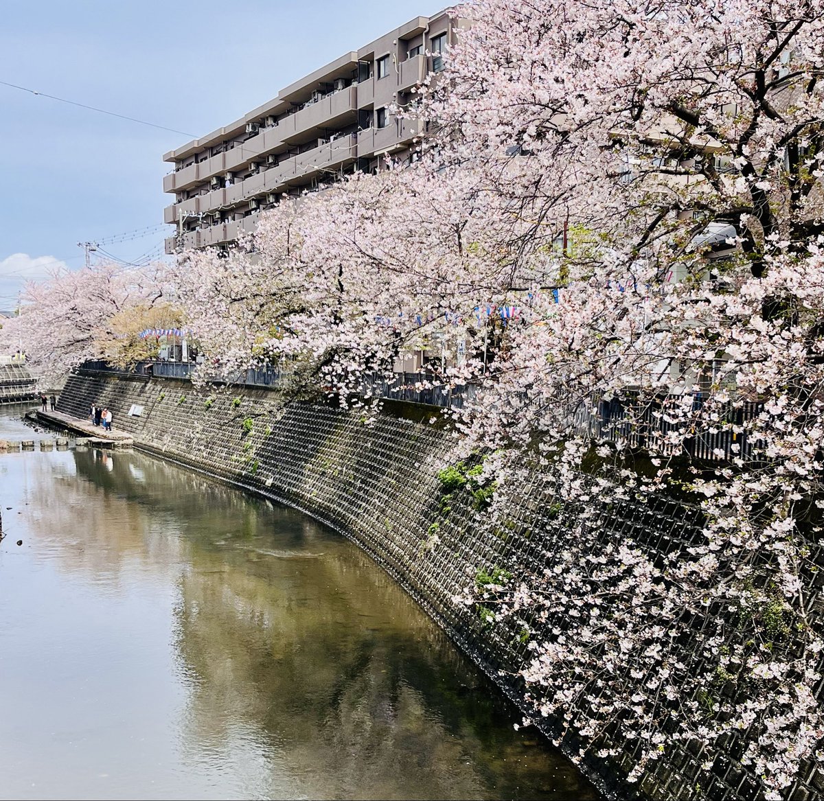 ミフィ@アイコンは本人 tweet media