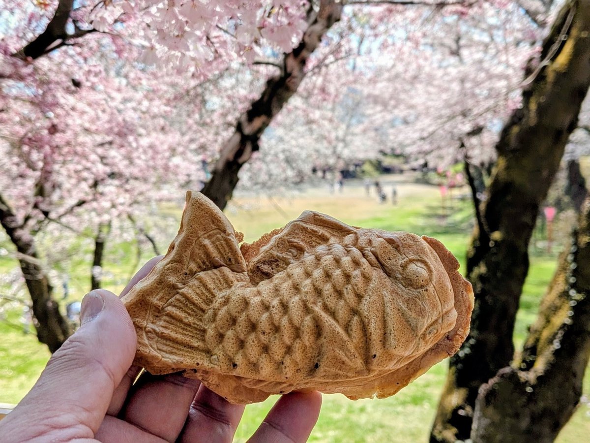 GARITUNE tweet media