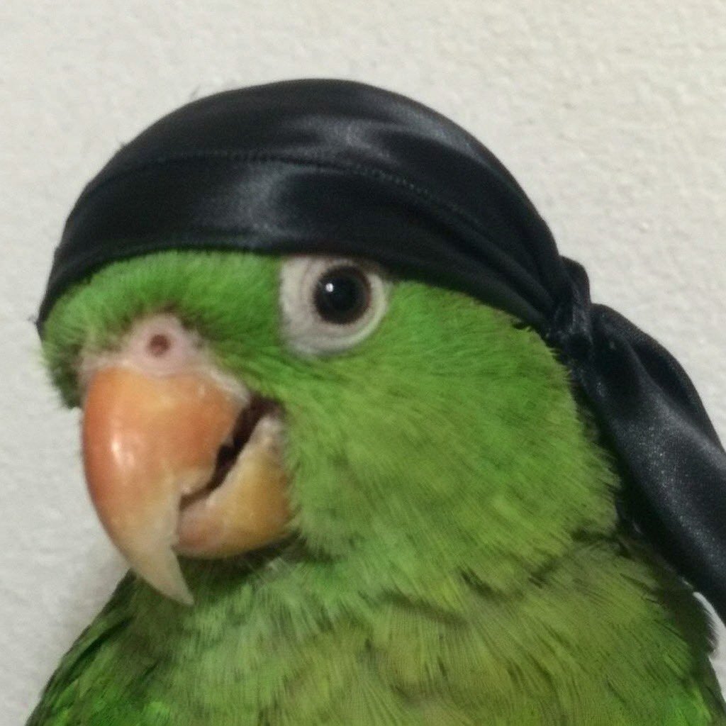 Spejs Plejs tweet media