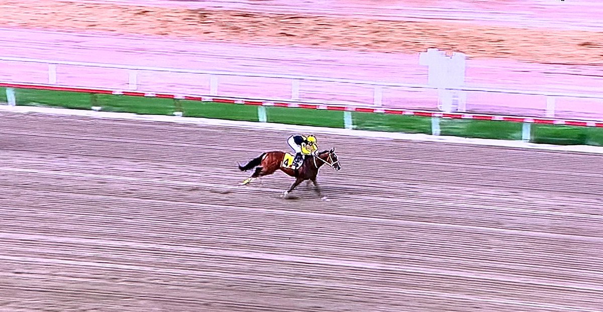 𝐒𝐚𝐛𝐛𝐚𝐝 🏇 𝐓𝐨𝐫𝐫𝐞𝐬  tweet media