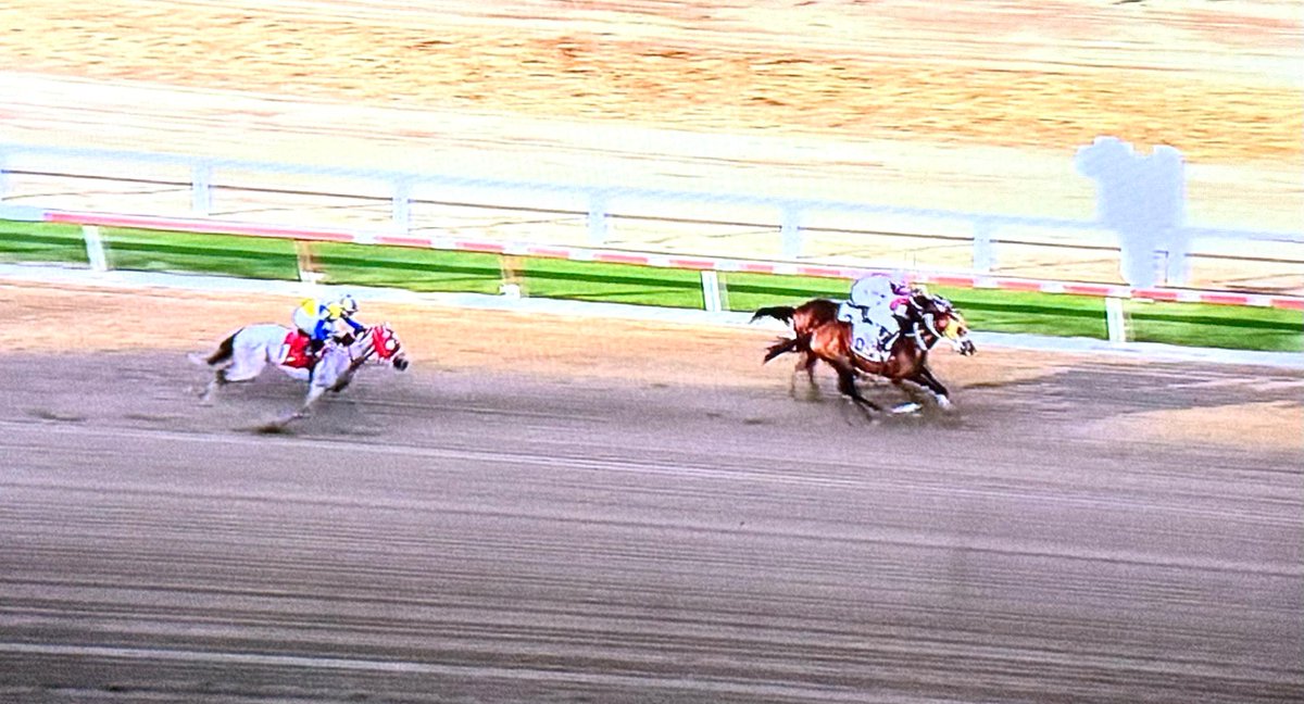 𝐒𝐚𝐛𝐛𝐚𝐝 🏇 𝐓𝐨𝐫𝐫𝐞𝐬  tweet media