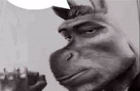 Vercetti Andersen tweet media