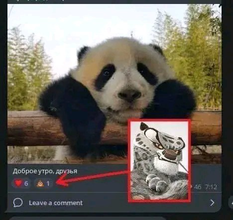 Lucho Portuano (@srluchoportuano) on Twitter photo 