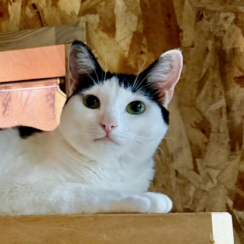 なみそ📕KEN/書籍重版！感謝📙 tweet media