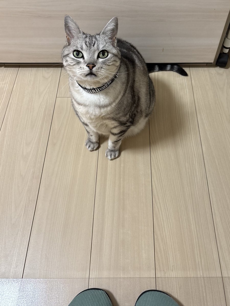 みふゆ(三冬) tweet media