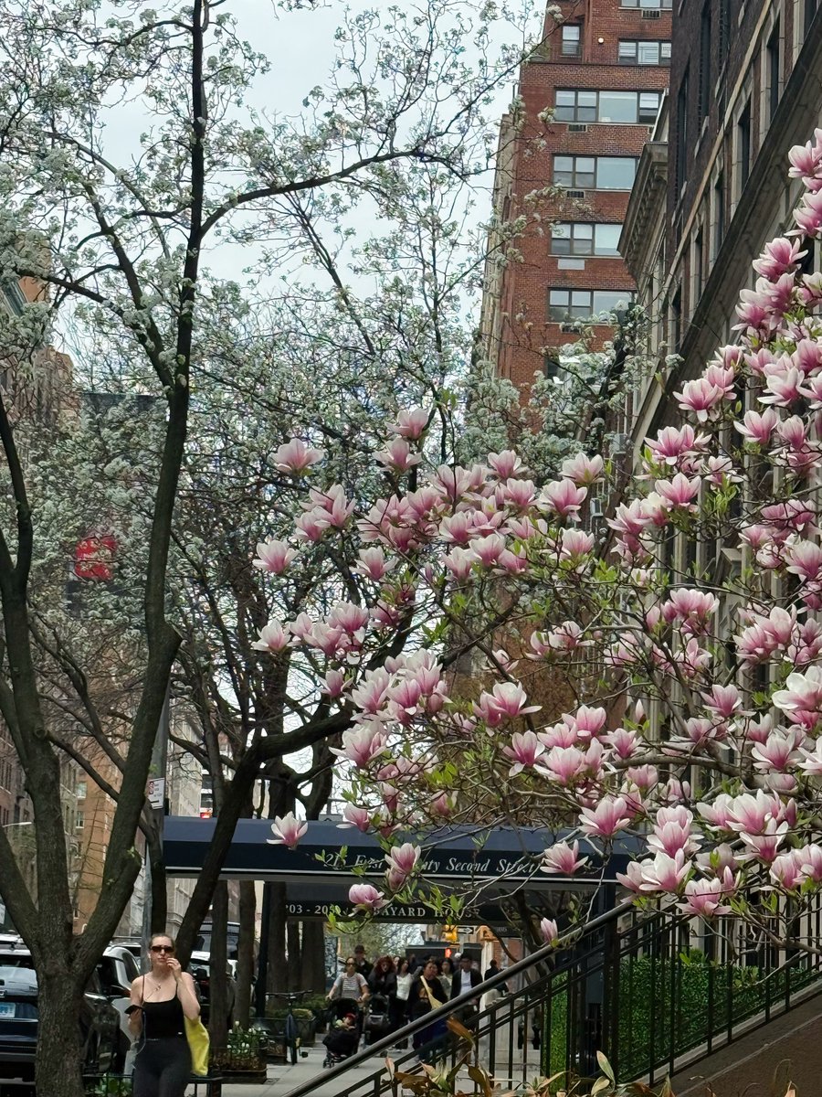 Meina 🌱 tweet media