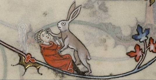 Vatanabeus tweet media