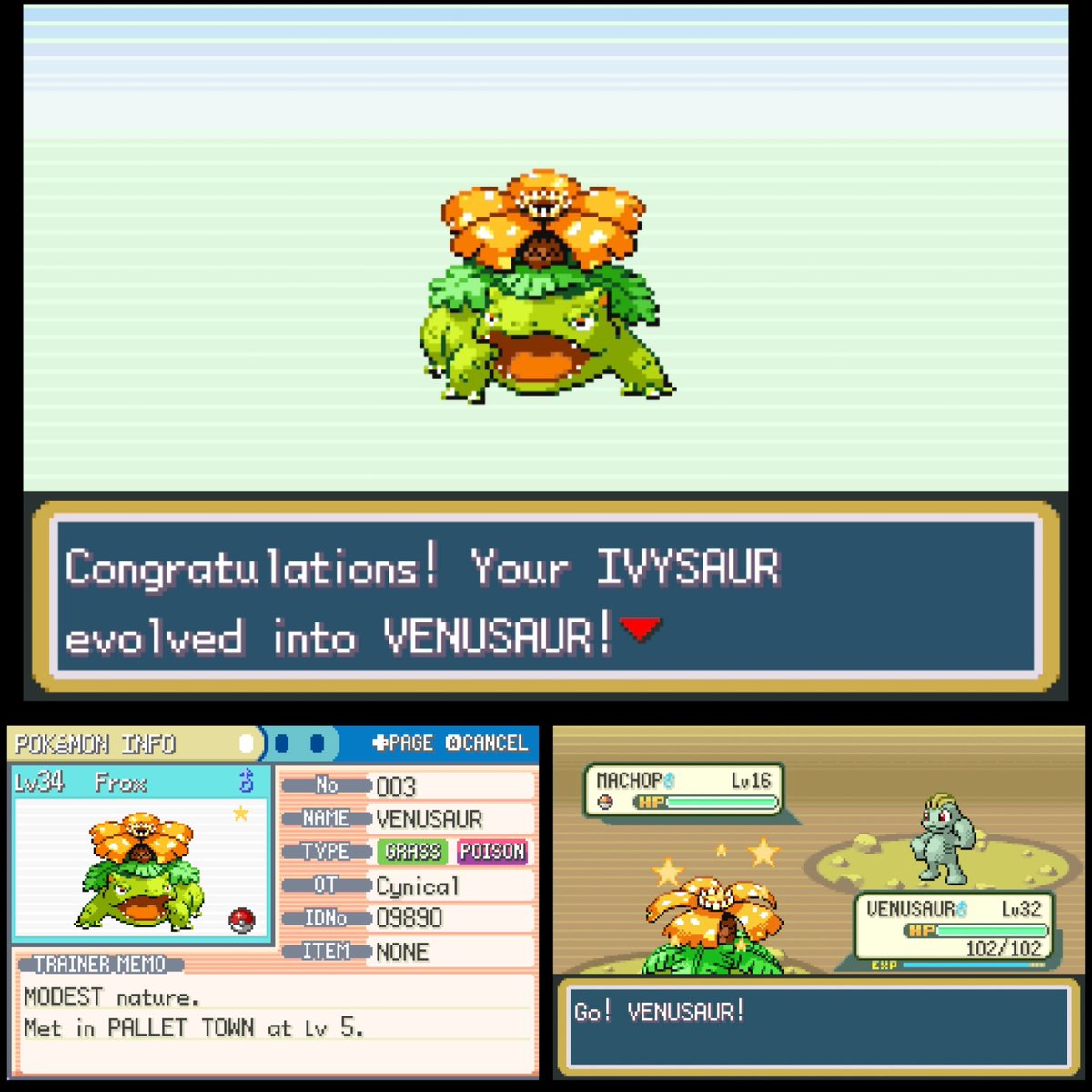 Cyn⸆⸉ ✪ ⚓︎ tweet media