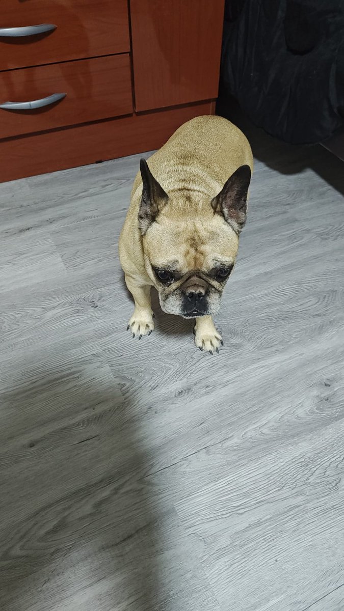 Chilbita🌹💛 tweet media