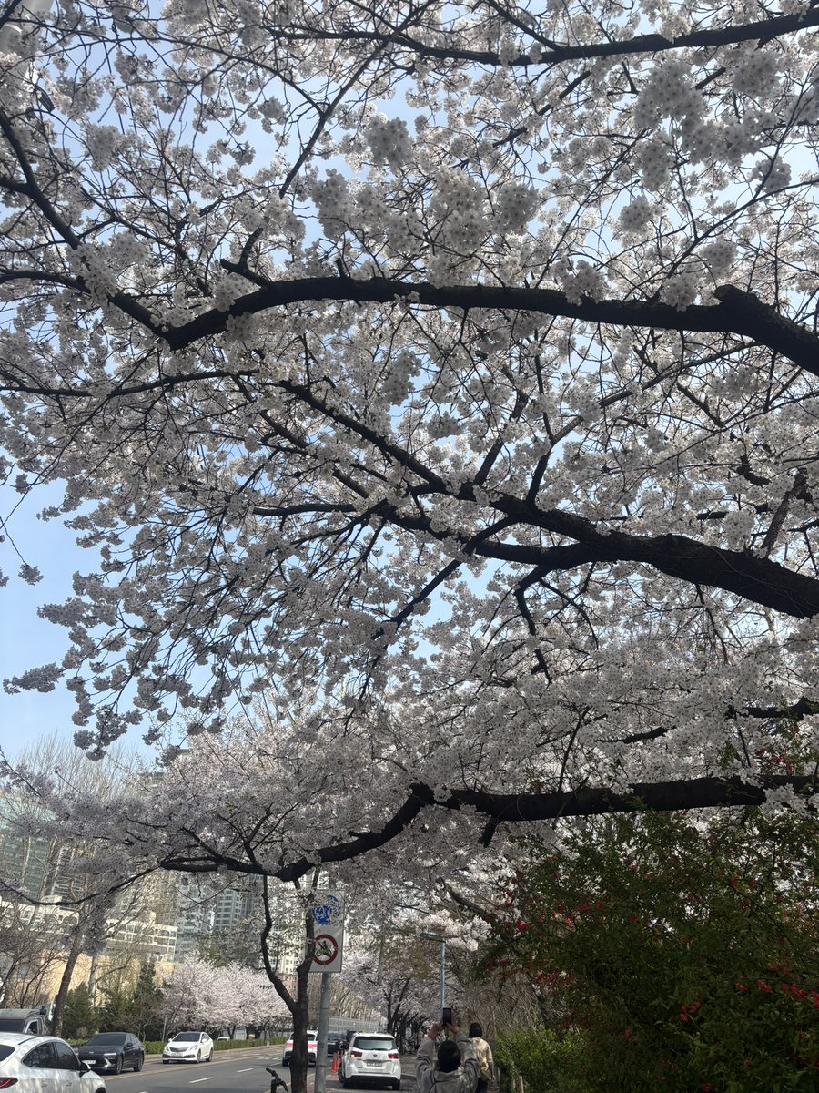 포케ㅣPOKE tweet media