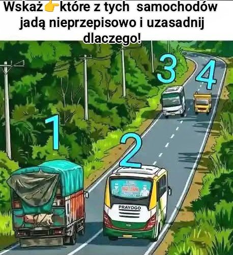 LechuTur tweet media