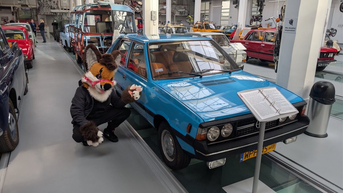 trash🔜FWA🔜Futrołajki🔜MFF tweet media