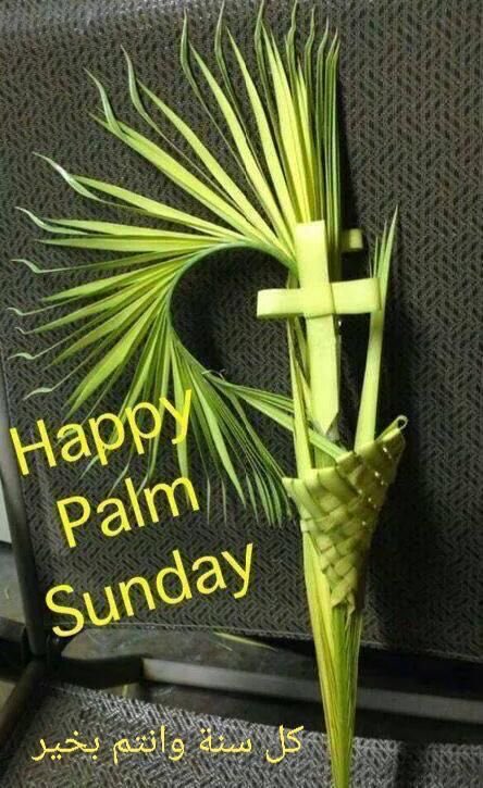 Nojy allam 🇪🇬 tweet media