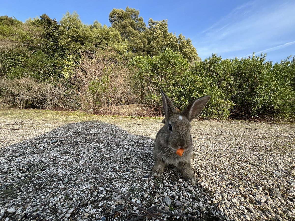 𝕂 🍓❄♡٩(*ˊᗜˋ)۶٩(ˊᗜˋ*)۶♡ tweet media