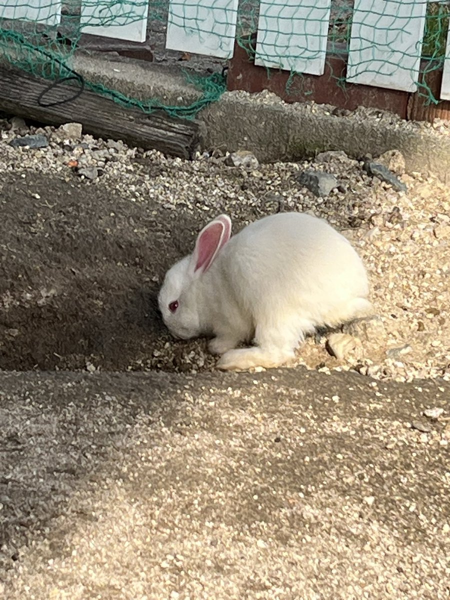 𝕂 🍓❄♡٩(*ˊᗜˋ)۶٩(ˊᗜˋ*)۶♡ tweet media