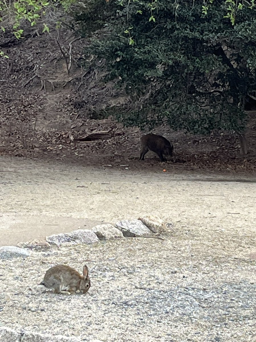 𝕂 🍓❄♡٩(*ˊᗜˋ)۶٩(ˊᗜˋ*)۶♡ tweet media