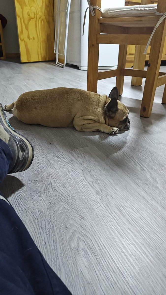 Chilbita🌹💛 tweet media