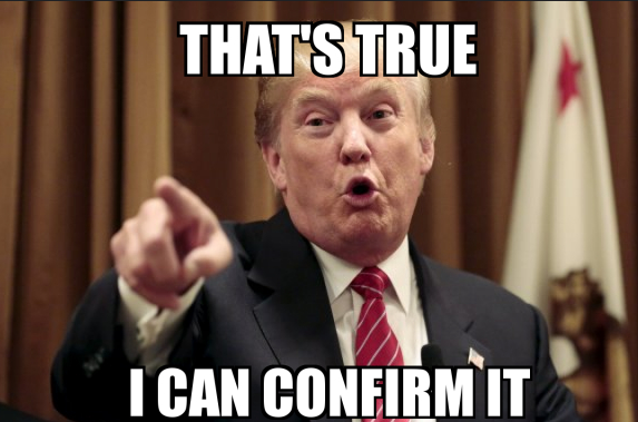 Mike Perone tweet media