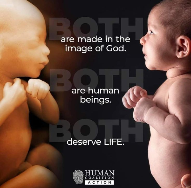 Steven Ertelt tweet media