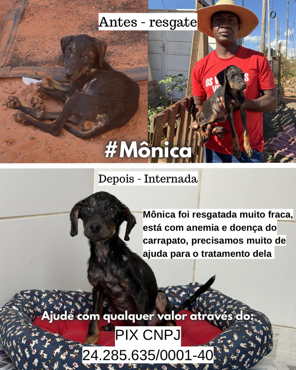 Ongarcadafe tweet media