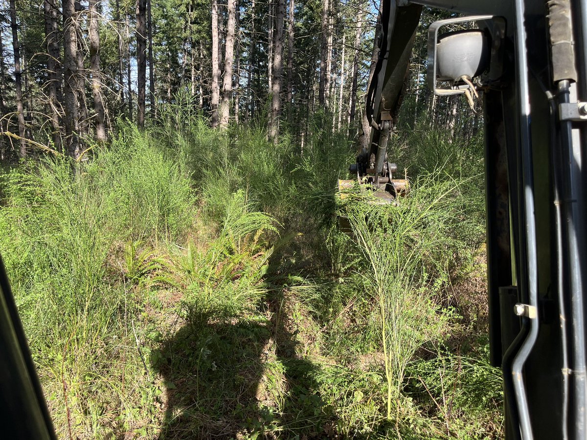 Lloyd Hogan tweet media