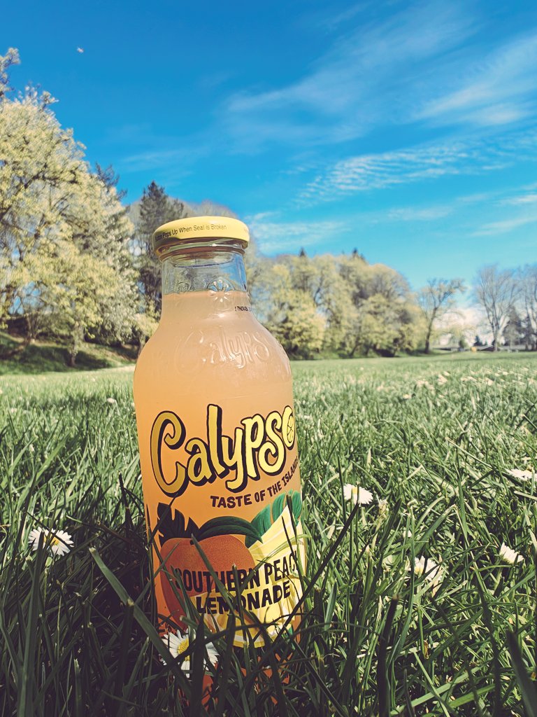 Pretty Miss Calypso tweet media