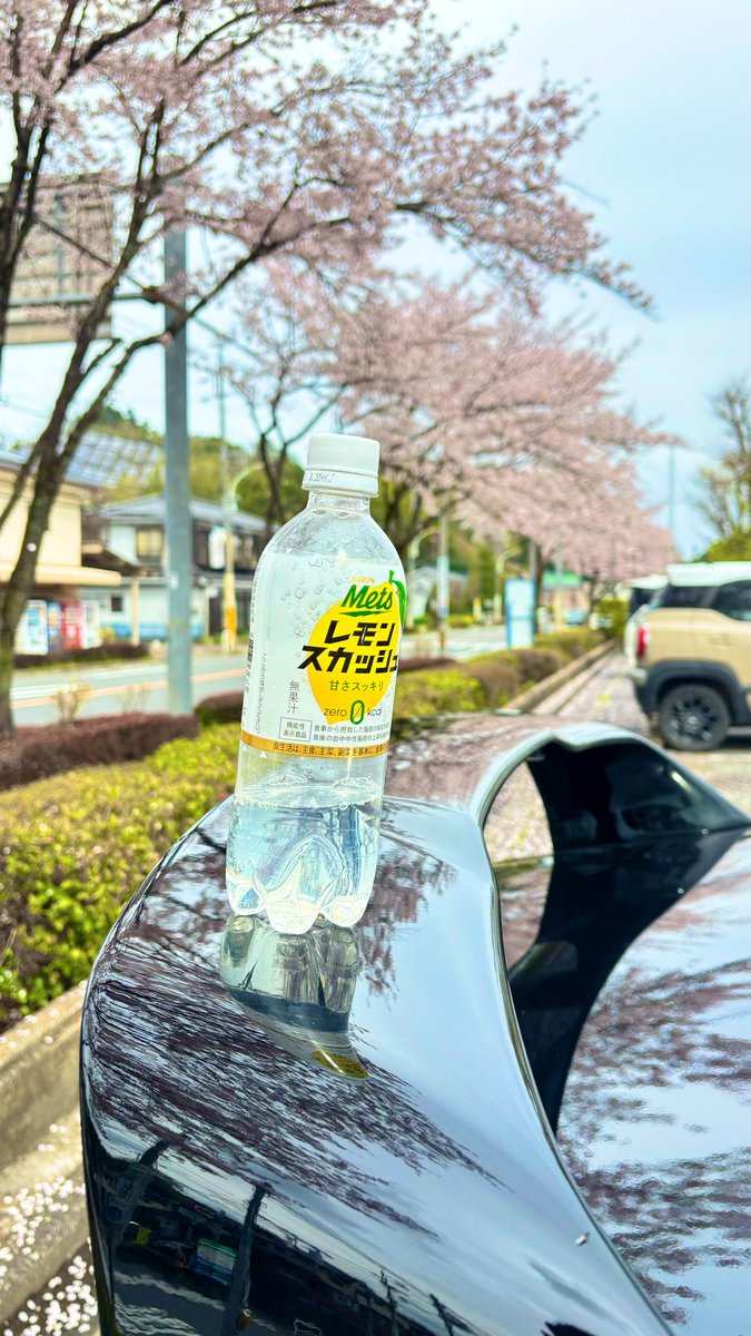 ふぇーる tweet media