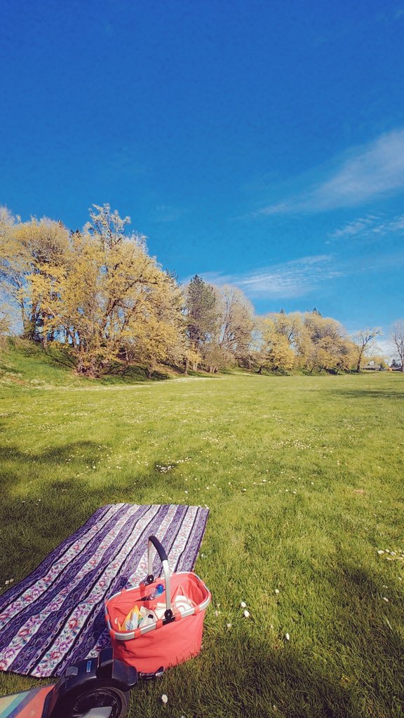 Pretty Miss Calypso tweet media