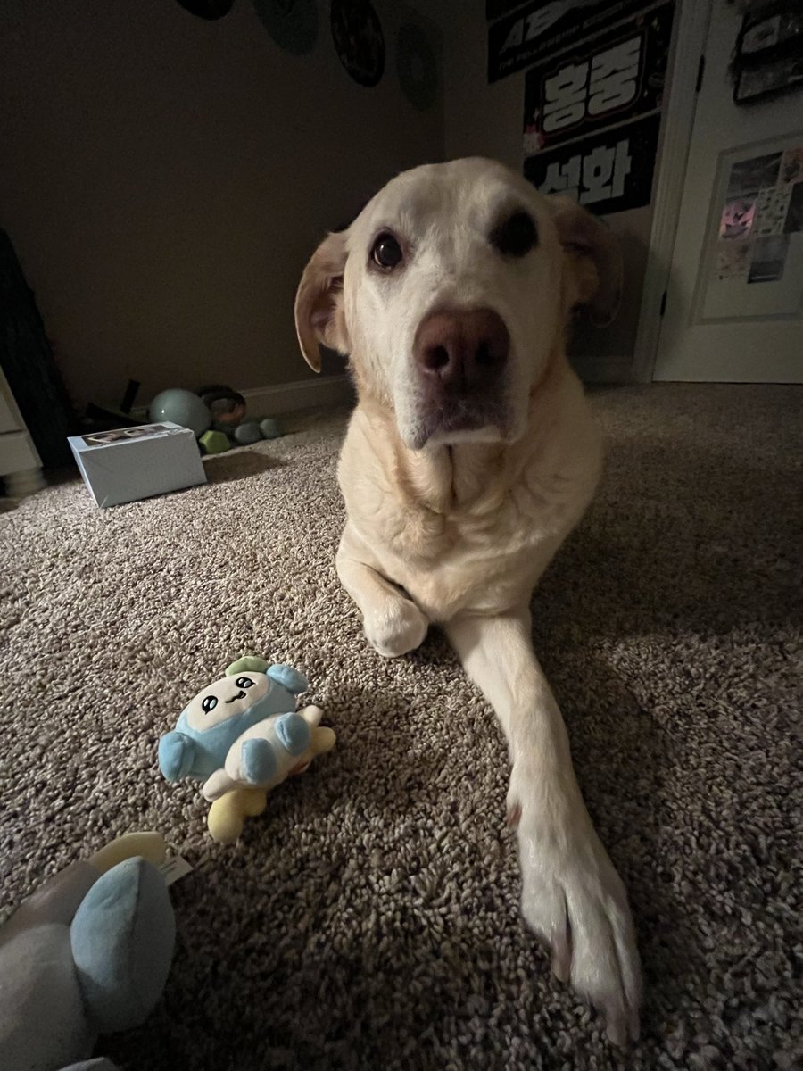 sarah ᐢ.ˬ.ᐡ₎ 🏴☠️ tweet media