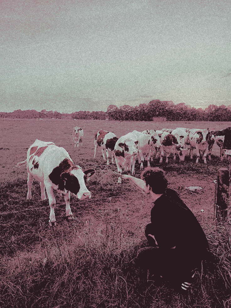 ˗ˏˋ𝐉𝒐𝒗𝒊 𝐐𝒖𝒊𝒍𝒍𓂃 ๋ tweet media