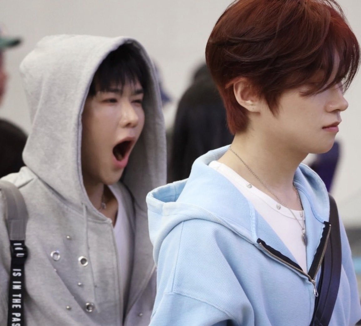 nora💗🪝 tweet media